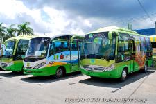 Shuttle Bus